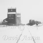 Grain elevators look great in the winter time