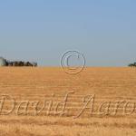 Working on the prairies.