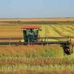 Harvesting on the prairies.