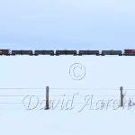 Trains are abundant on the Alberta landscape.