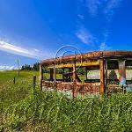 Old yellow bus canopy