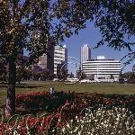 Churchill Square 1979c.  Originally this square was a park.  Old city hall in the background.