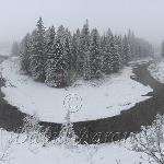 Winter scene of Edmonton's River Valley.